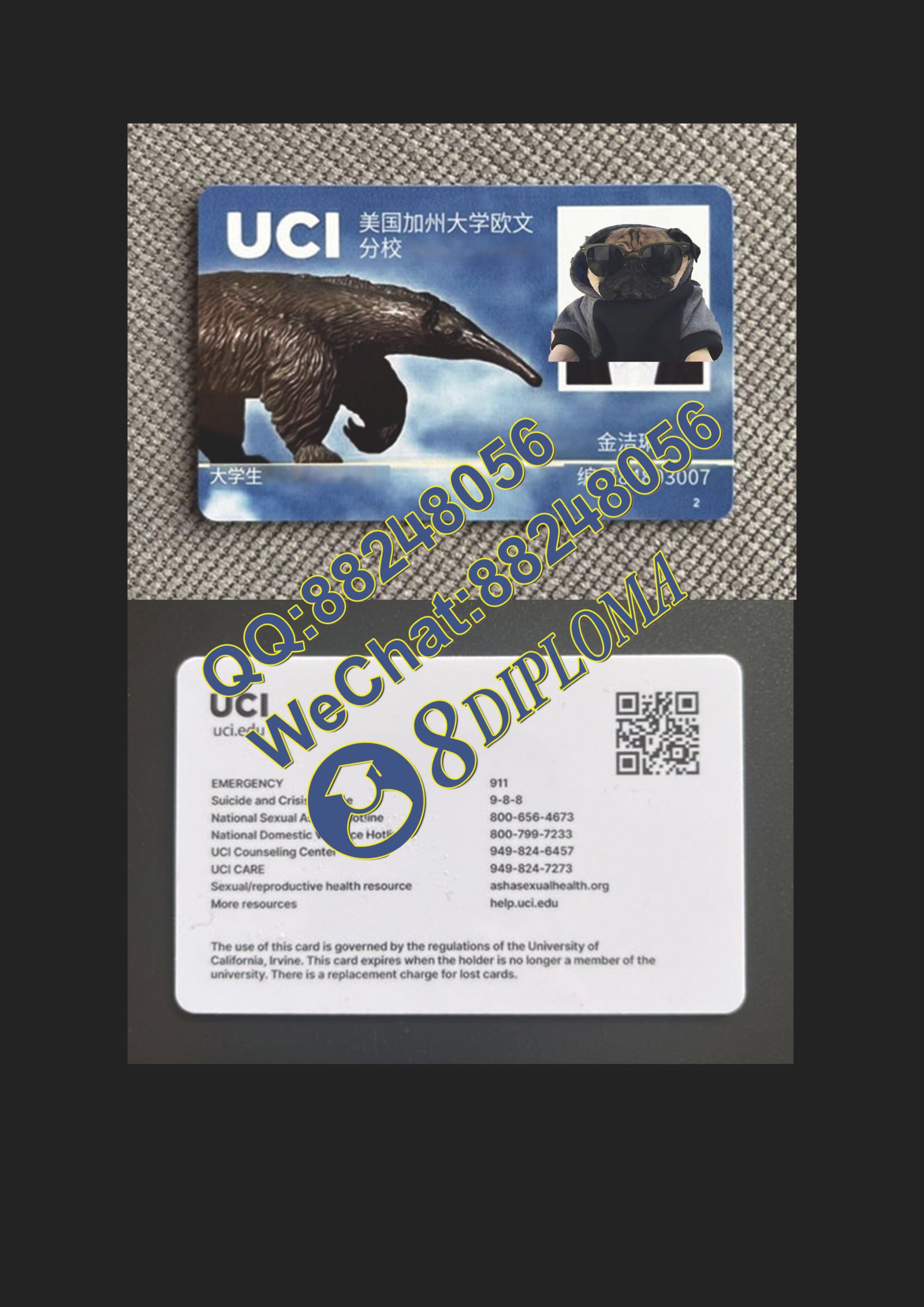 UCI学生卡定制