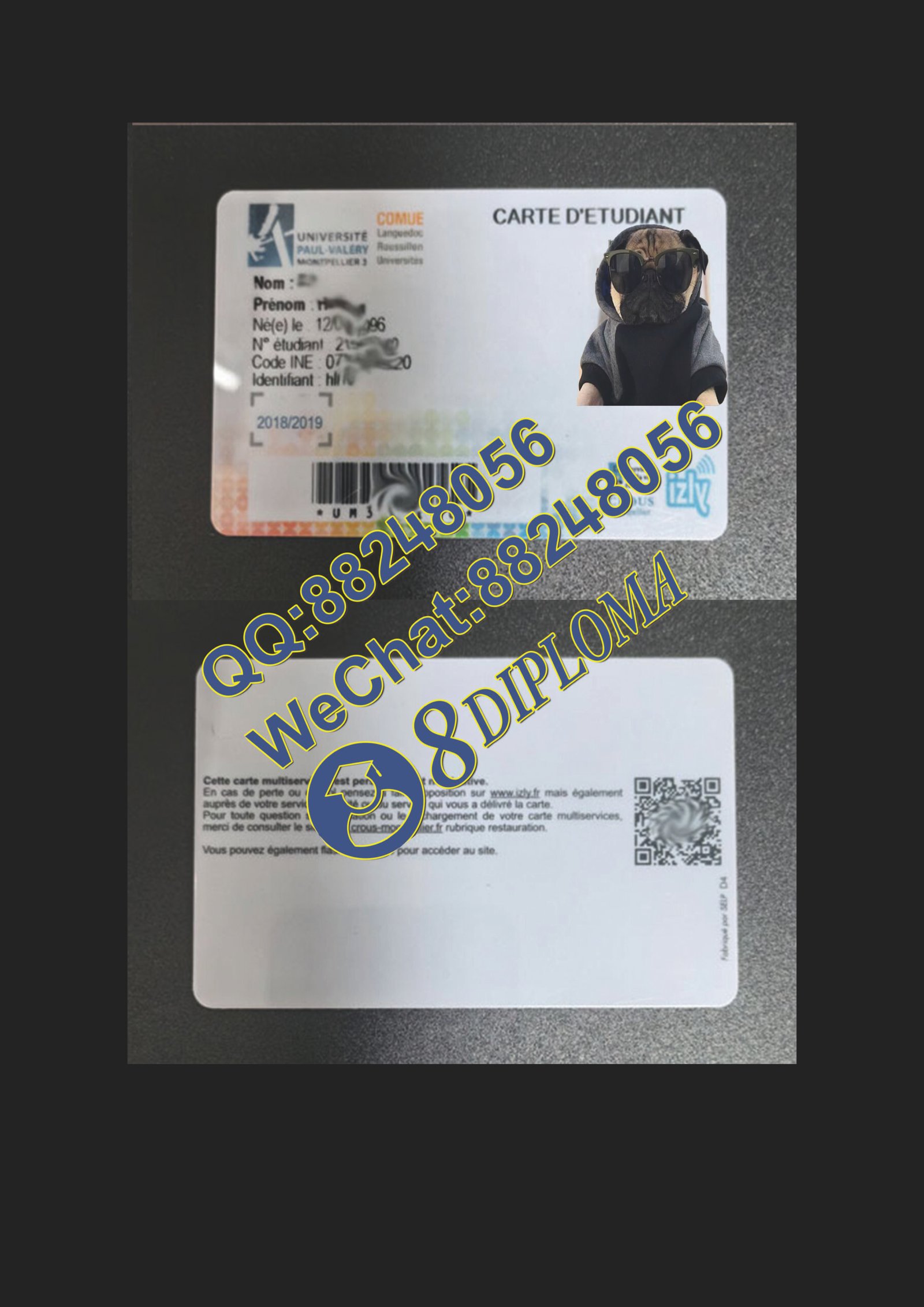 保罗-瓦莱里大学学生证定制