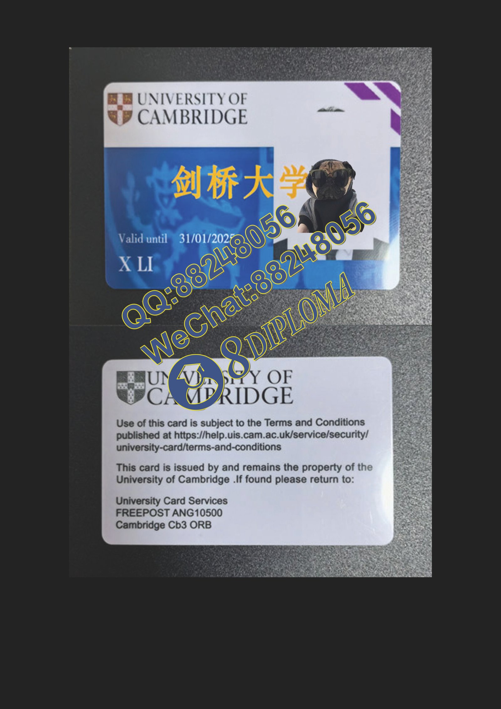 剑桥大学学生证定制