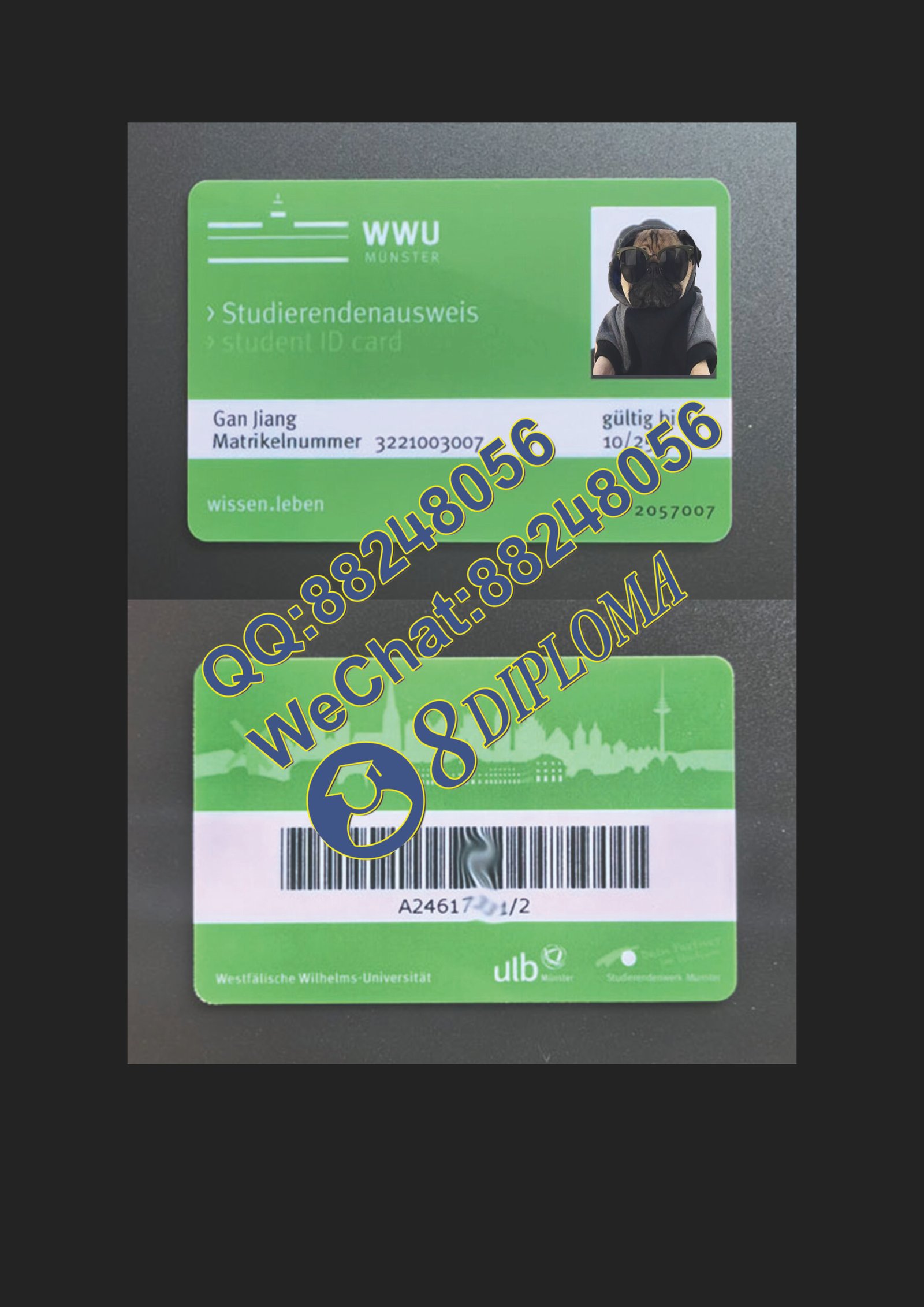 德国明斯特大学学生卡定制