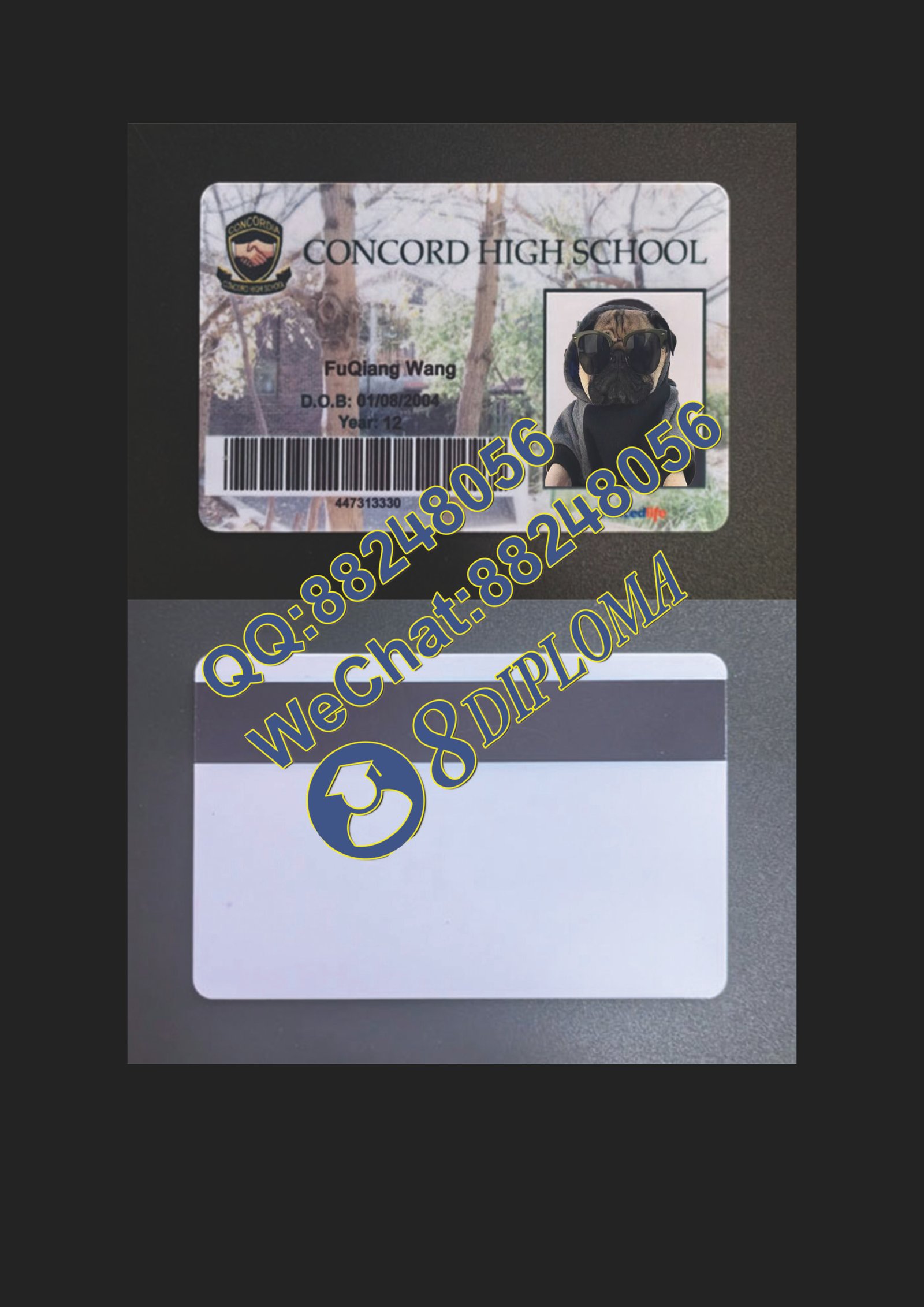 澳洲康科德高中学生卡定制