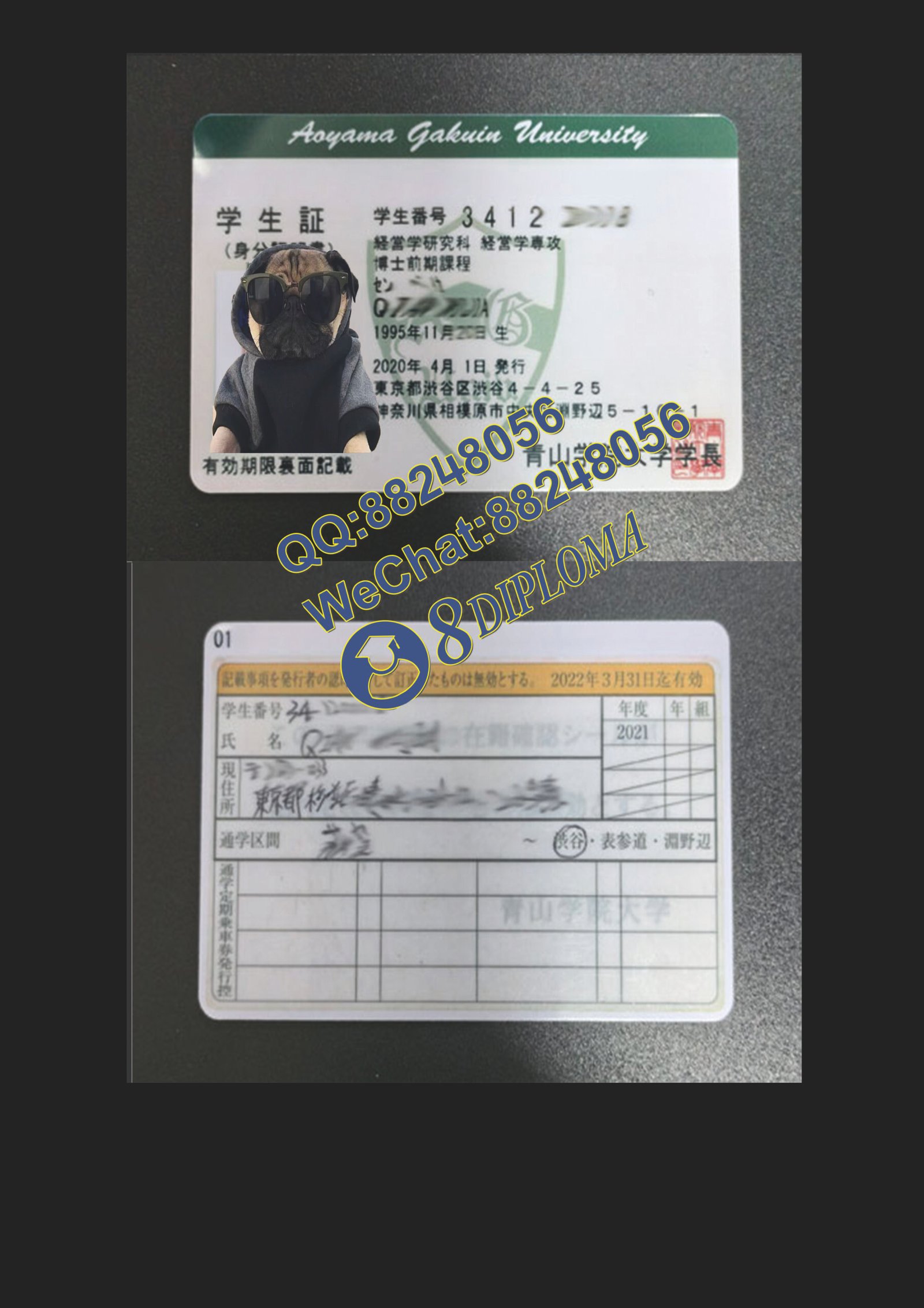 青山大学学生卡定制
