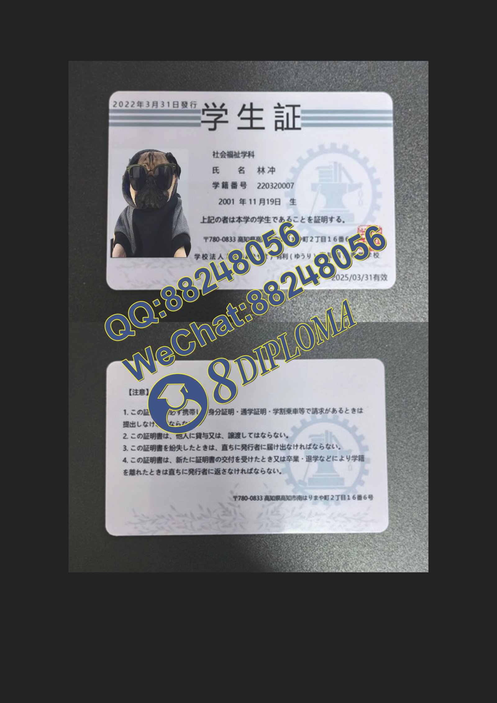 高知福祉専門学校学生卡定制